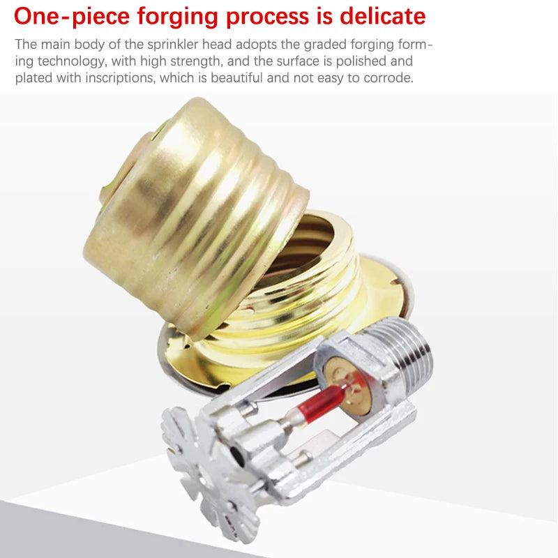 S0e521e277d9948b9a5e1dab39b3d2d99o